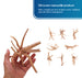 Aquarium Spiderwood (M) - Driftwood - Natuurlijke Houten Decoratie voor Je Aquarium - Uniek en Sfeervol - Koop Nu voor een Prachtig Onderwaterlandschap!