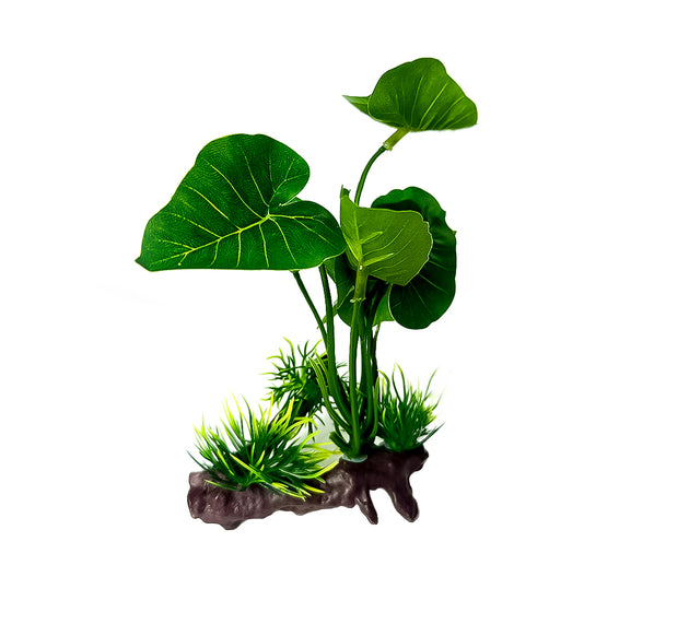 Creëer een levendige onderwaterwereld met onze natuurgetrouwe Aquarium Kunstplant - Hastifolia Plant! Voeg een vleugje groen toe aan uw aquariumdecor met deze hoogwaardige kunstplant die niet van echt te onderscheiden is. Verrijk het leefgebied van uw vissen met een weelderige en onderhoudsvrije plantoptie. Bestel nu voor een prachtige esthetiek en een stressvrije omgeving voor uw aquariumbewoners. Maak uw aquarium compleet met onze realistische Hastifolia Plant!