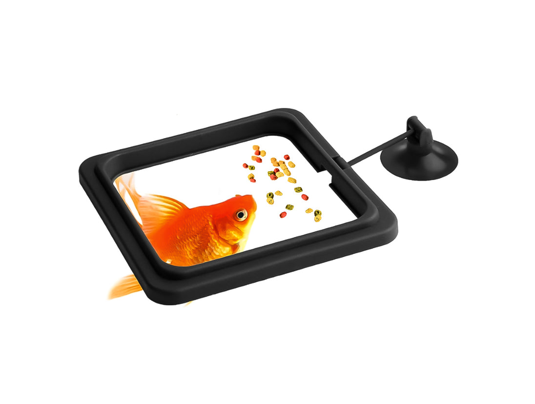 Optimaliseer het voeren van je vissen met onze Visvoer Ring. De vierkante vorm en sterke zuignap zorgen voor eenvoudig en gecontroleerd voeren. Houd je aquarium schoon en minimaliseer voerverspilling. Bestel nu voor een gezondere visomgeving!