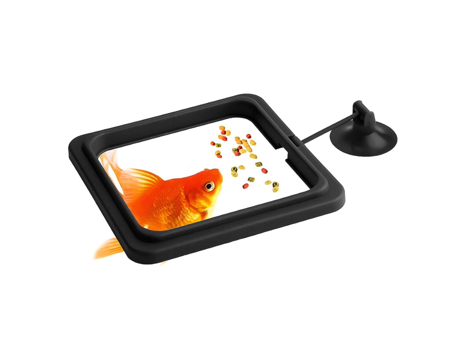 Optimaliseer het voeren van je vissen met onze Visvoer Ring. De vierkante vorm en sterke zuignap zorgen voor eenvoudig en gecontroleerd voeren. Houd je aquarium schoon en minimaliseer voerverspilling. Bestel nu voor een gezondere visomgeving!