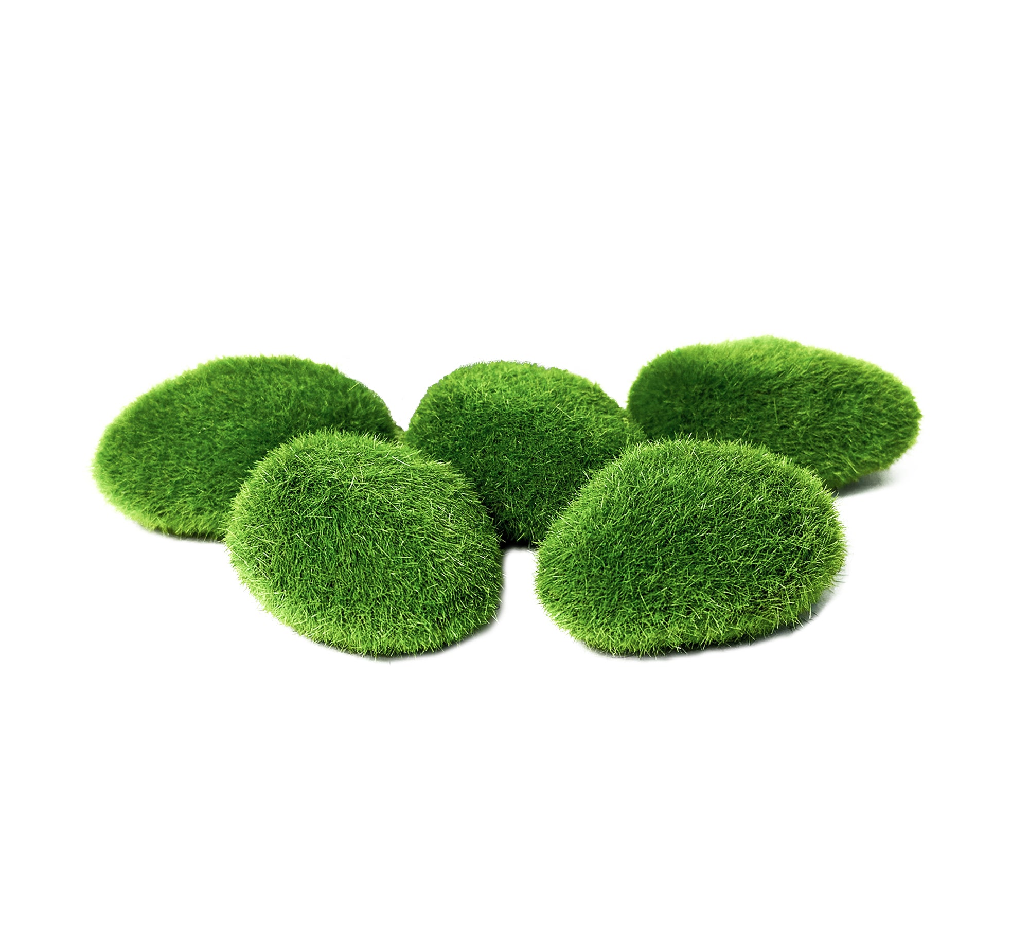 5 stuks Waterplant Kunst Mosbollen - Chladoflora Aegagropila (mini)