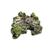 Natuurgetrouw decoratief ornament in de vorm van een Moon Steen, geschikt voor aquariums. De afmetingen zijn 24 x 23 x 14 cm. Dit ornament voegt een realistisch en kleurrijk element toe aan je onderwateromgeving, ideaal voor tropische aquaria.