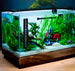 LCD Aquarium Thermometer - Kleurveranderende Strip - Zwart - Nauwkeurige Temperatuurmeting voor Vissen en Aquariums - Koop Nu voor Optimaal Viscomfort en Onderhoud!