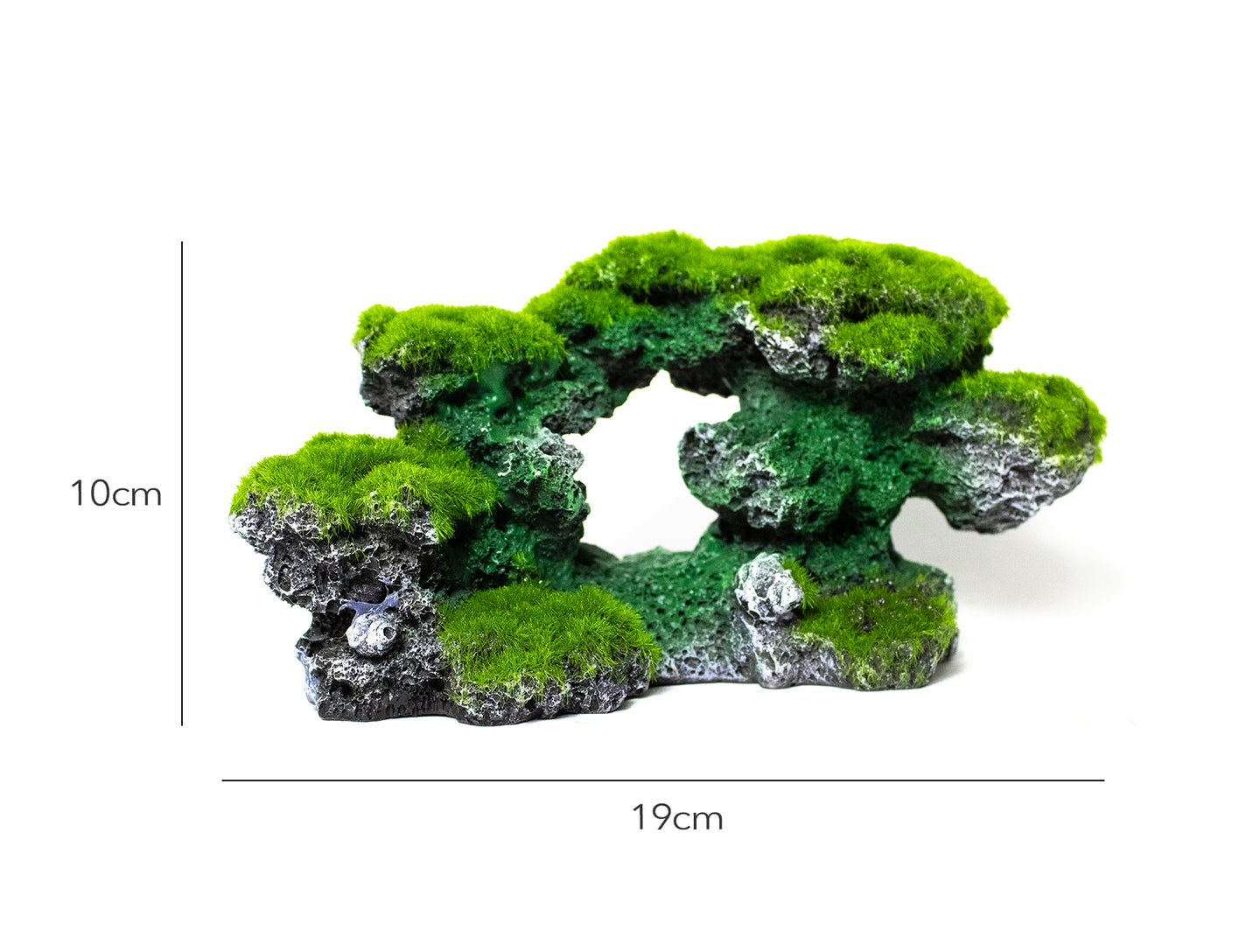 Natuurgetrouw Kunst Koraal 19x10cm - Aquarium en Terrarium Decor - Realistisch Koraal voor Een Stijlvolle Onderwater- en Terrariuminrichting - Bestel Vandaag!