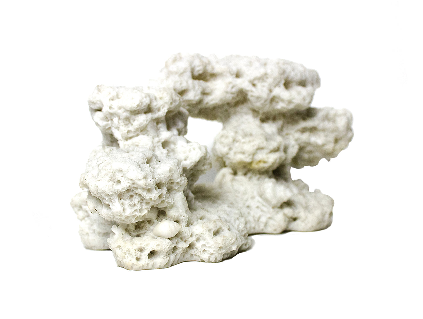 Natuurgetrouw Kunst Koraal 19x10cm - Aquarium en Terrarium Decor - Realistisch Koraal voor Een Stijlvolle Onderwater- en Terrariuminrichting - Bestel Vandaag!