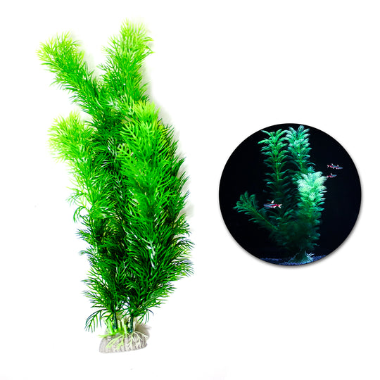 Levendig Groene Aquarium Kunstplant - Duurzame Saim Waterplant (30cm) - Perfect voor Aquascape - Koop Nu voor een Prachtige Onderwaterwereld!