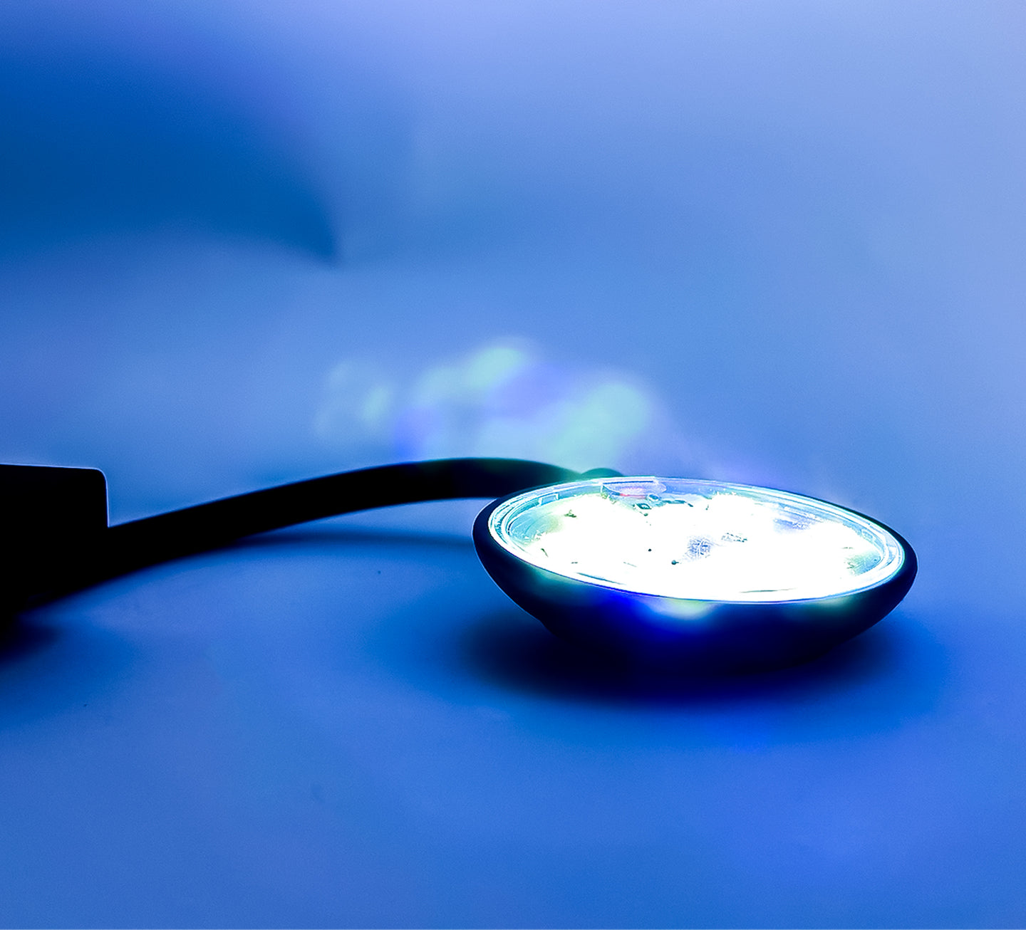Verlicht uw aquarium met gemak met onze Mini LED Verlichting met Klem! Creëer een sfeervolle ambiance en laat uw aquarium stralen met deze compacte en krachtige verlichtingsoptie. Eenvoudig te bevestigen voor een prachtig verlichte onderwaterwereld. Bestel nu voor een heldere en levendige aquatische omgeving!