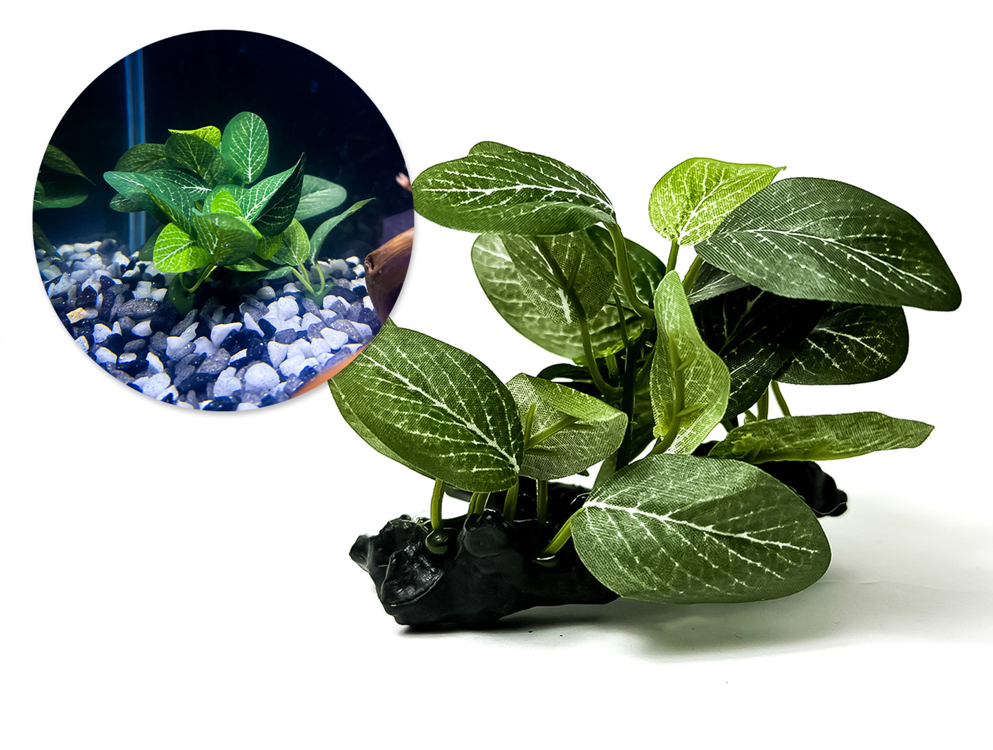 Verrijk uw aquarium met onze natuurgetrouwe Aquarium Kunstplant - Salutuya Plant! Voeg kleur en leven toe zonder onderhoudsgedoe. Bestel nu voor een prachtige aquascape!